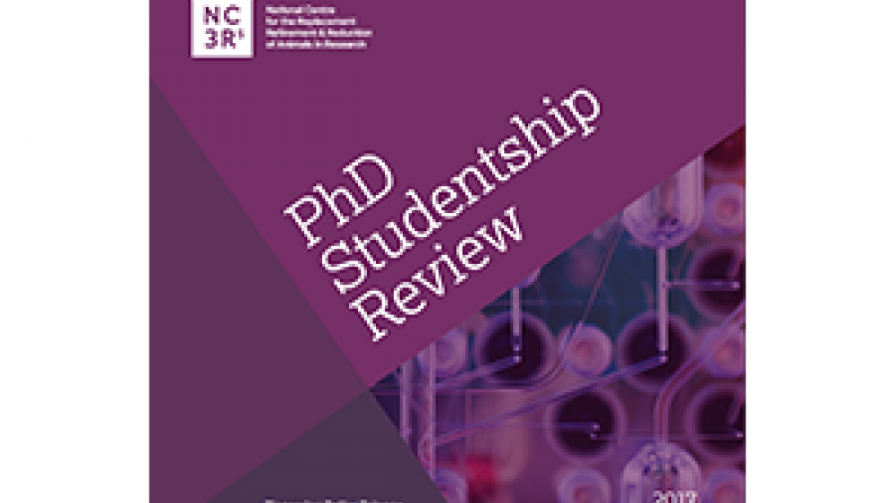 PhD studentship review publication cover 