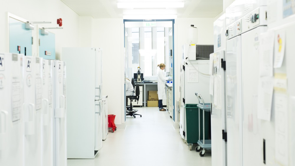 A lab corridor