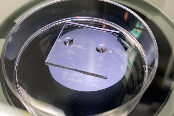 Decorative image of microfluidic device