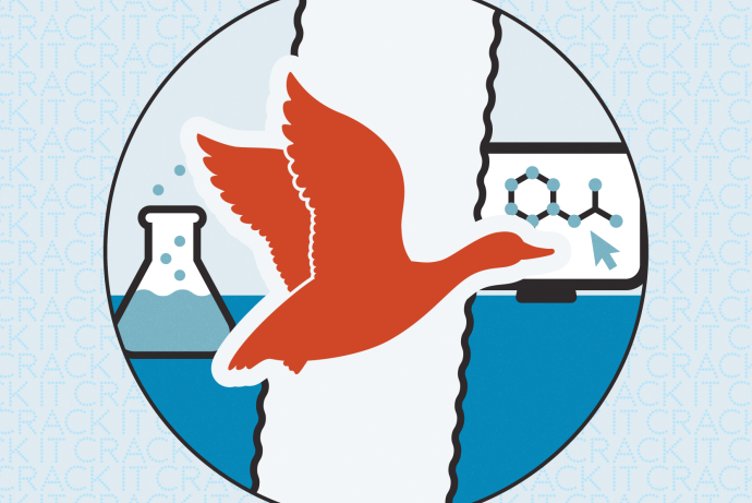 Challenge image for Wings of Change showing an orange duck with a blue background.