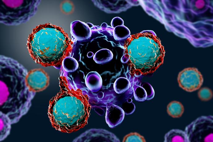 Image of a 3D rendering of a cancer cell