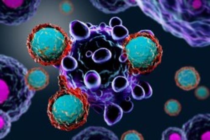 Illustration of cancer immunotherapy, showing immune cells attacking a cancer cell