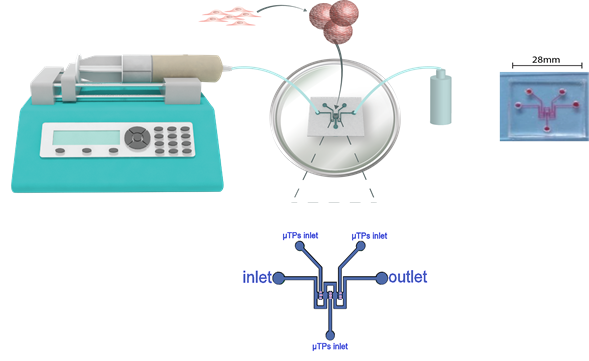 Schematic representation of the microfluidic biochip set-up