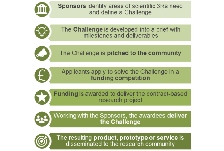 Overview of Challenge Process