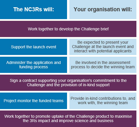 Graphic summarising the Challenge proposal process