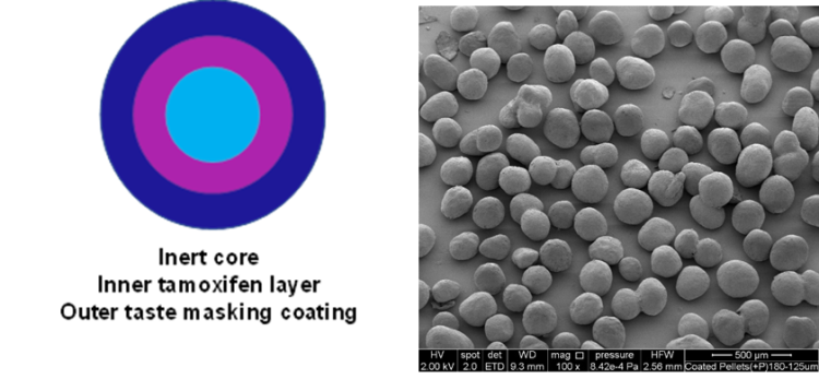 Graphic of Tat-fit product on left and electron microscopy on the right