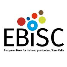 EBSIC logo