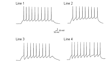 Line graph showing Action potentials recorded from iPSC-derived neurons in response to depolarisation.