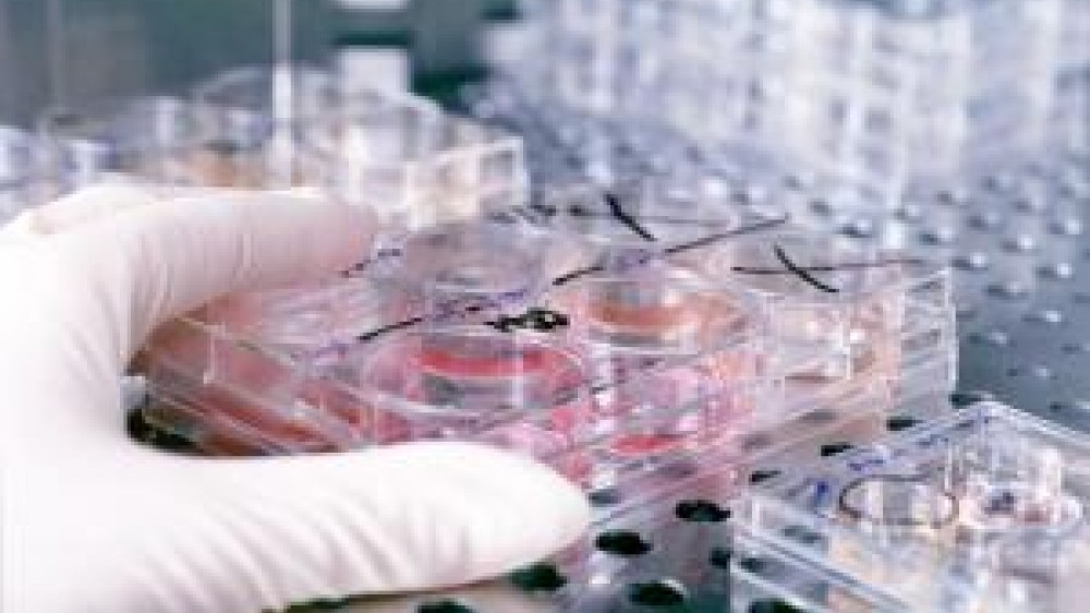 A technician using laboratory sampling equipment 