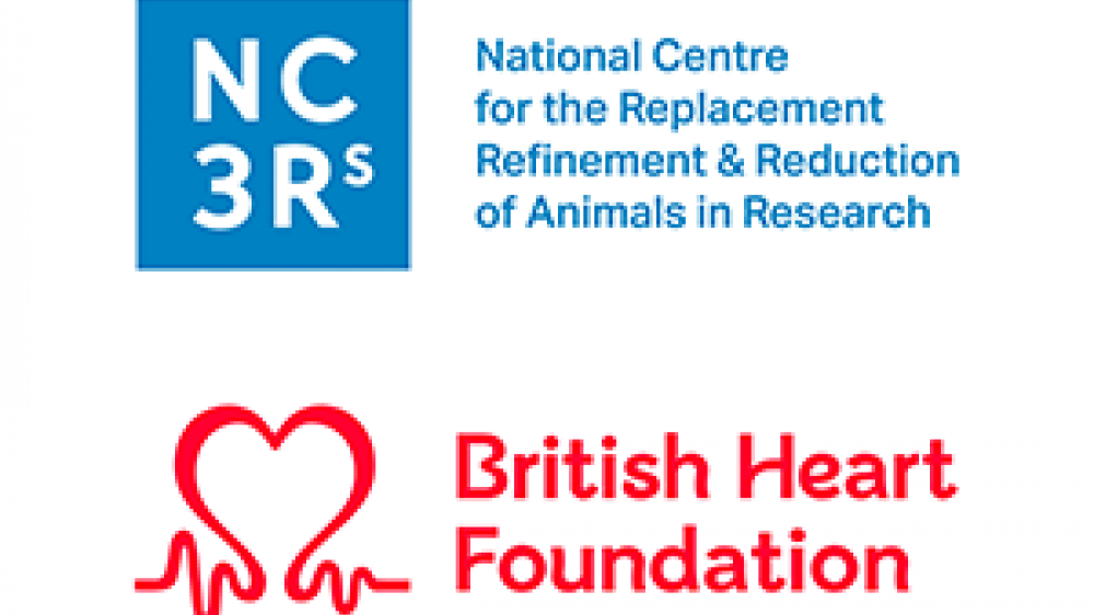 Split screen of NC3R's logo and British Heart Foundation logo