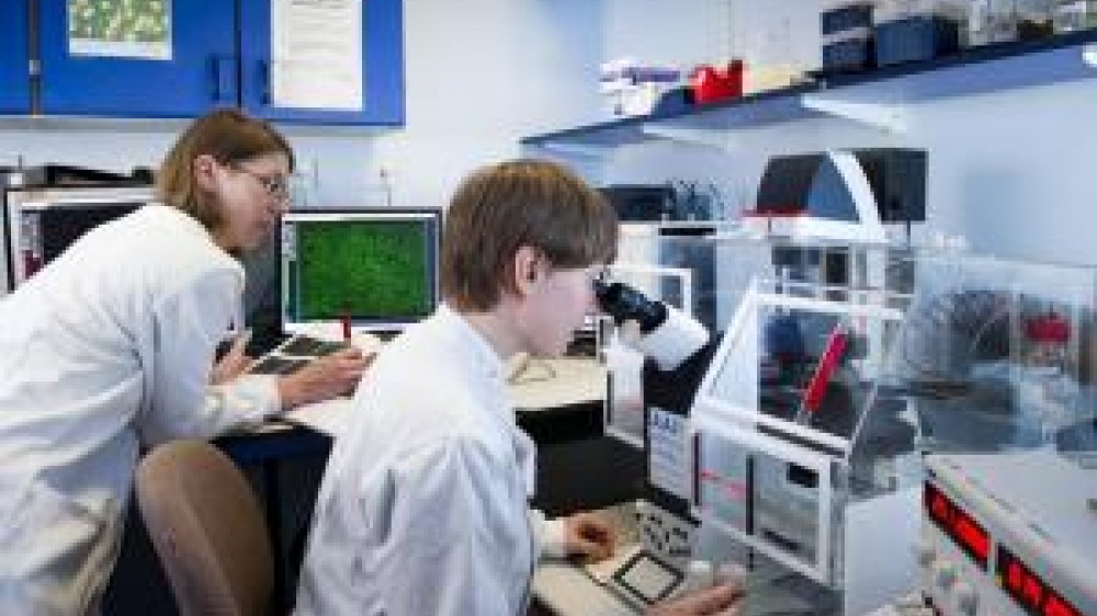 Two laboratory technicians, one of them is using a microscope