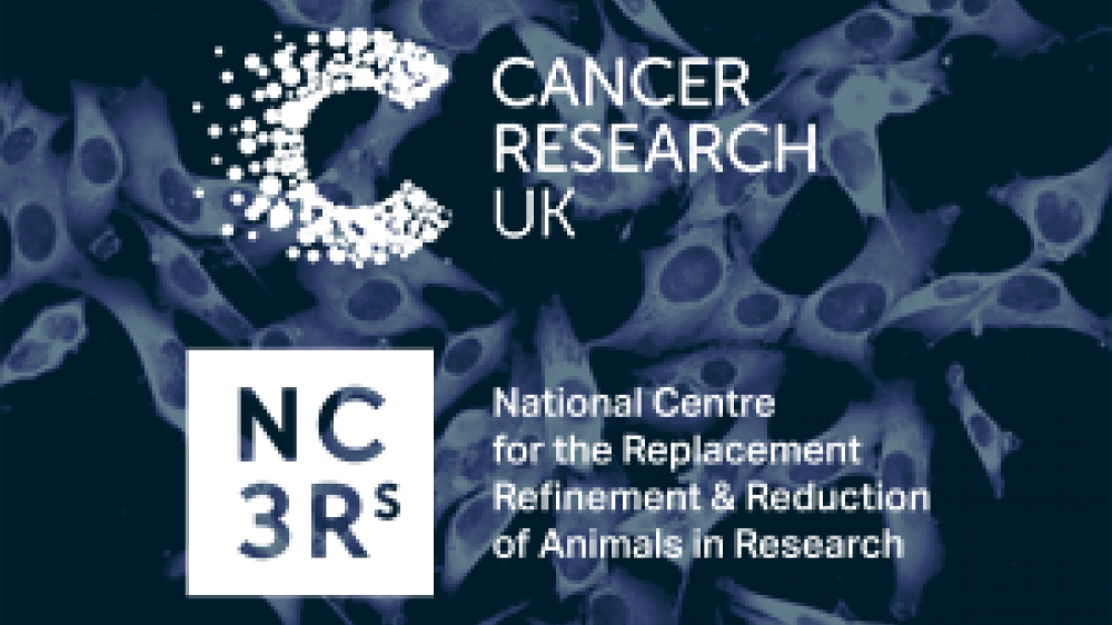  Cancer Research UK and NC3Rs logo