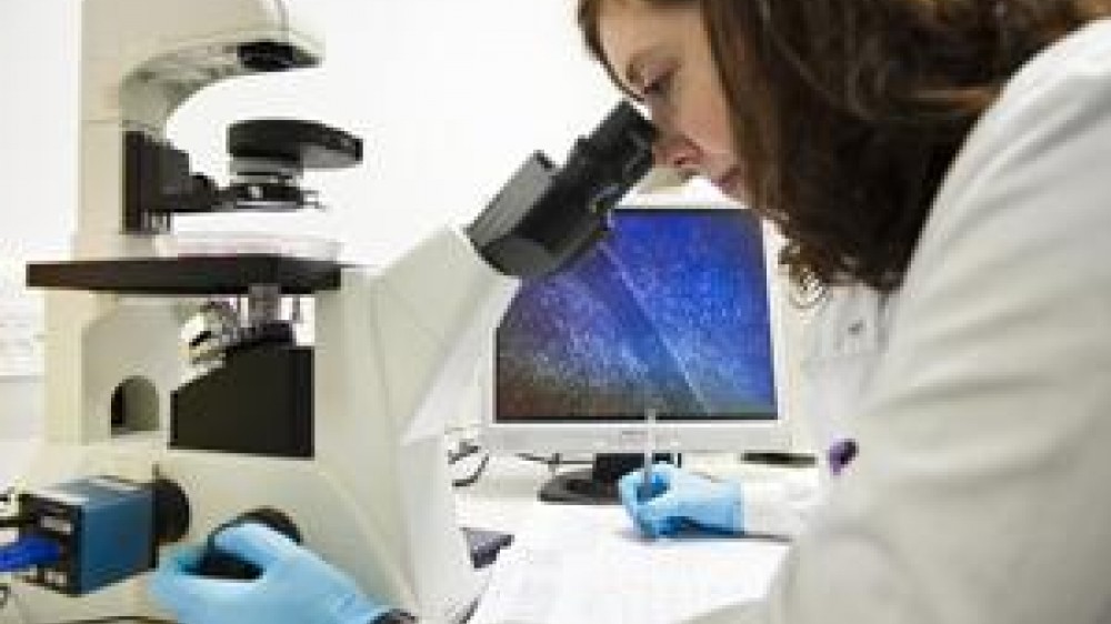 A student using a microscope