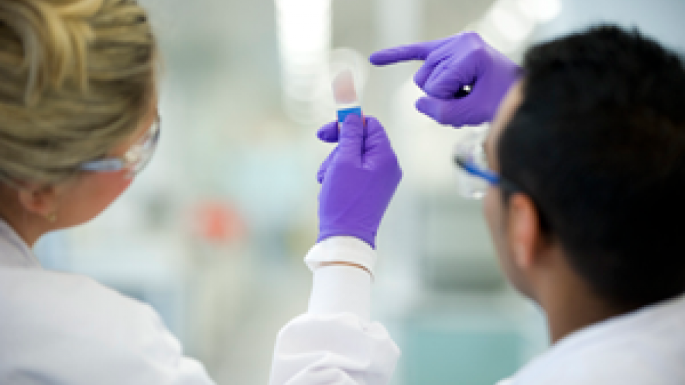 Two laboratory technicians looking at a sample