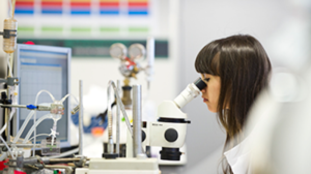 A laboratory technician working with a microscope 