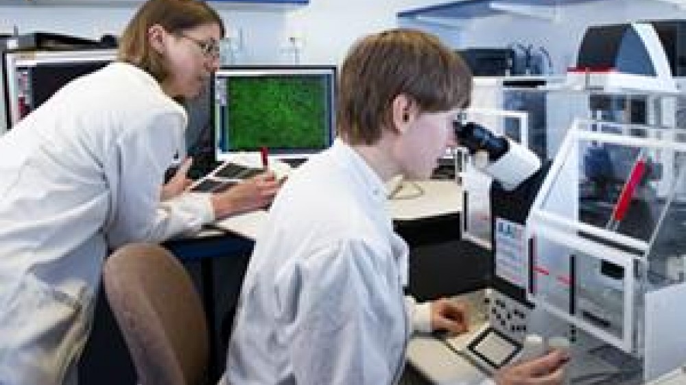 Two laboratory technicians, one of them is using a microscope