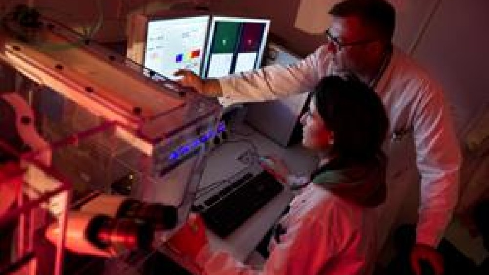 Two laboratory technicians looking at a monitor