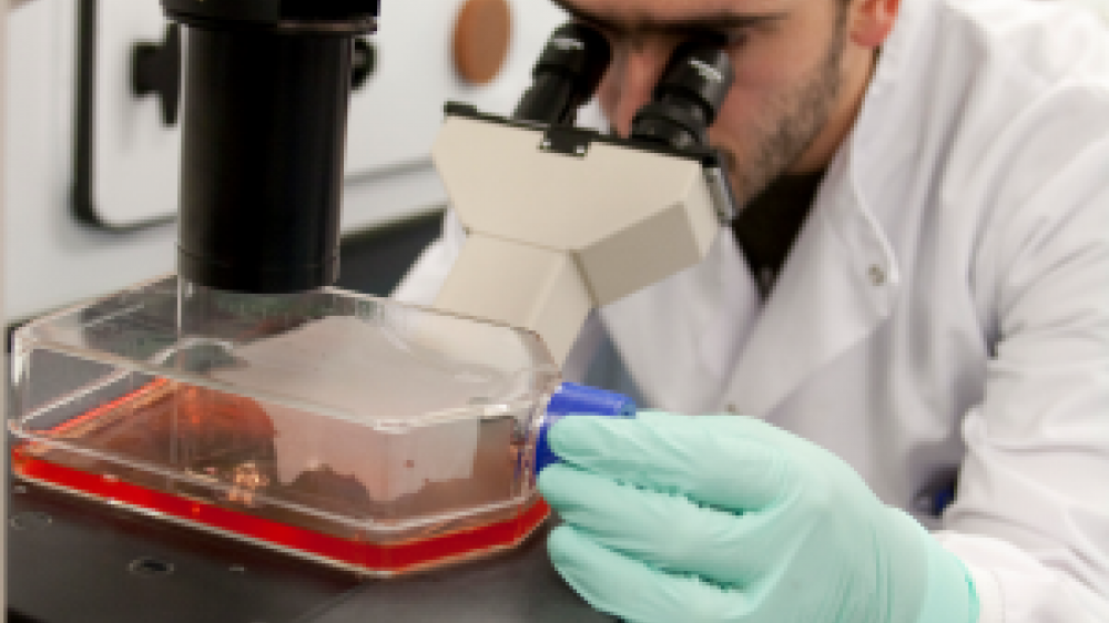 A laboratory technician working with a microscope 