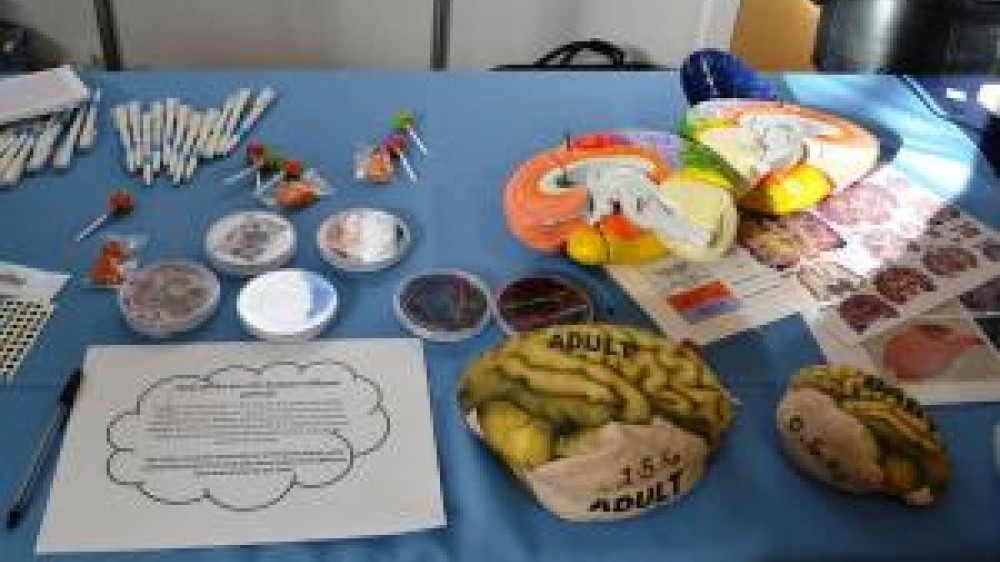 An assortment of various items on a table