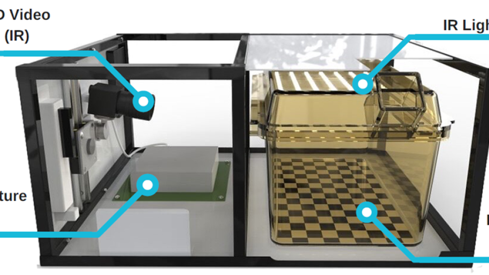 The Home Cage Analyser system consisting of a home cage with a HD video pointing at the home cage. It also has IR lightning on top of the cage and a RFID baseplate array within the the cage