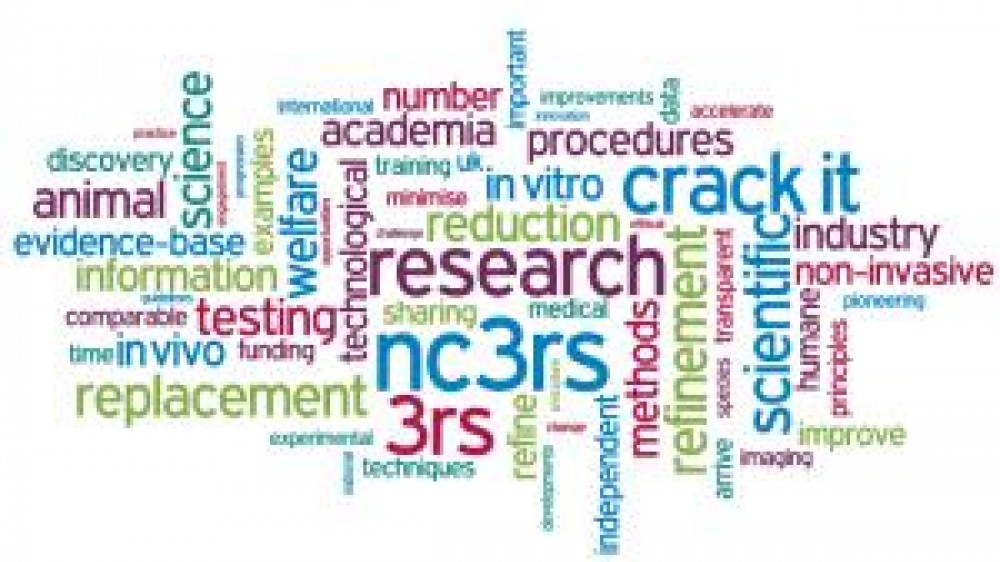 NC3Rs word cloud 