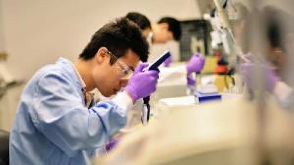 A laboratory technician working with a device