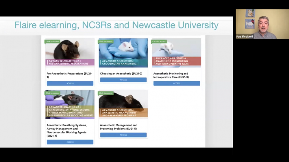 A screenshot from the 2020 e-learning webinar hosted by the NC3Rs and presented by Prof Paul Flecknell.
