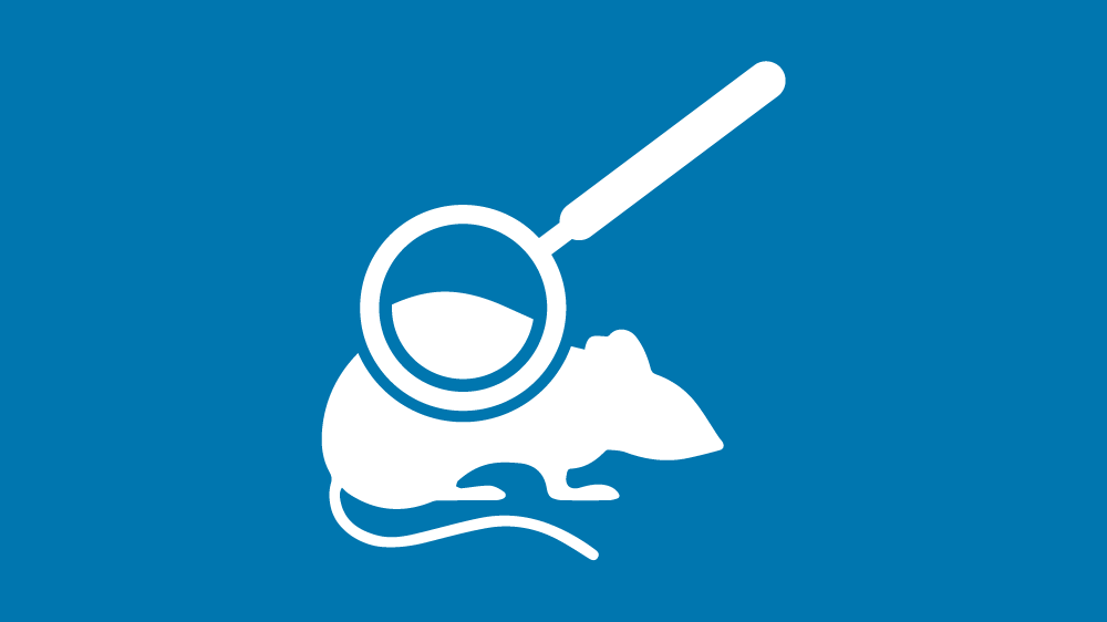 White icons of a magnifying glass focused on a mouse, on a blue background