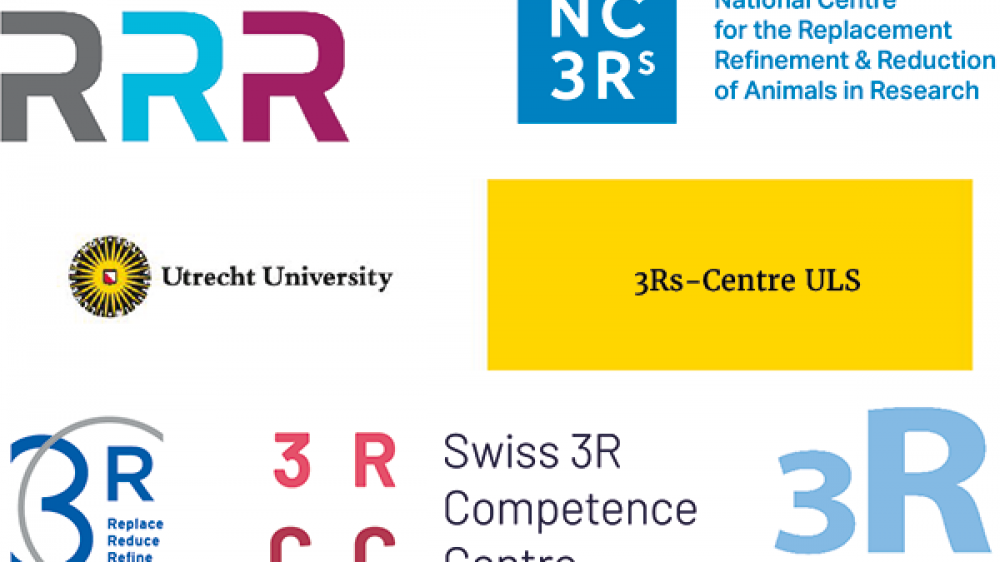 Logos of the six 3Rs centres who organised the webinar series in 2020. Left to right: Top row, Danish 3Rs-Center, NC3Rs. Second row: 3Rs-Center ULS Utrecht University. Bottom row: 3Rs CC, 3RCC Swiss 3Rs competence centre, The Swedish 3Rs center