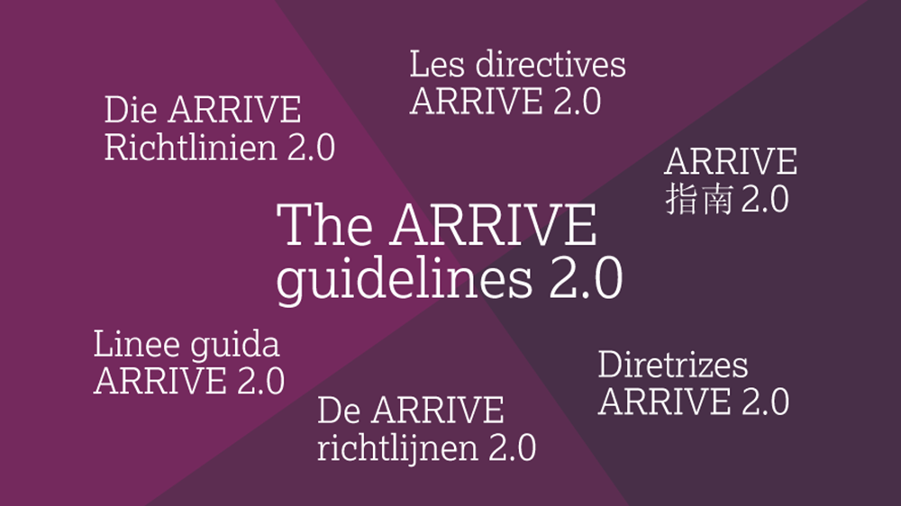 A word cloud of "ARRIVE 2.0 guidelines" in different languages representing the new translations