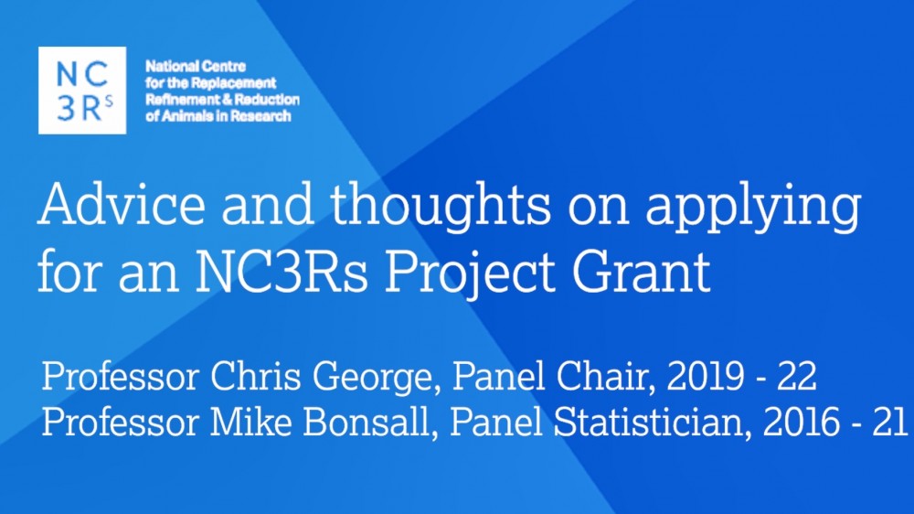 Opening slide for the webinar "Advice and thoughts on applying for an NC3Rs Project Grant