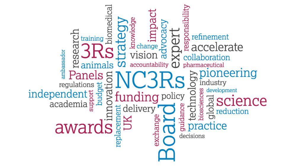 Word cloud of keywords related to the NC3Rs Board (e.g. 3Rs, science, funding)