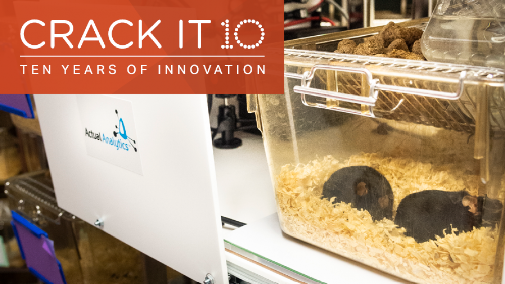 The CRACK IT 10 logo superimposed over a photo of mice in a cage being monitored with the Home Cage Analyser tool