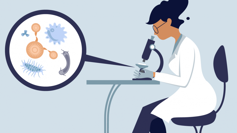 A cartoon of a scientist looking at microorganisms in a microscope