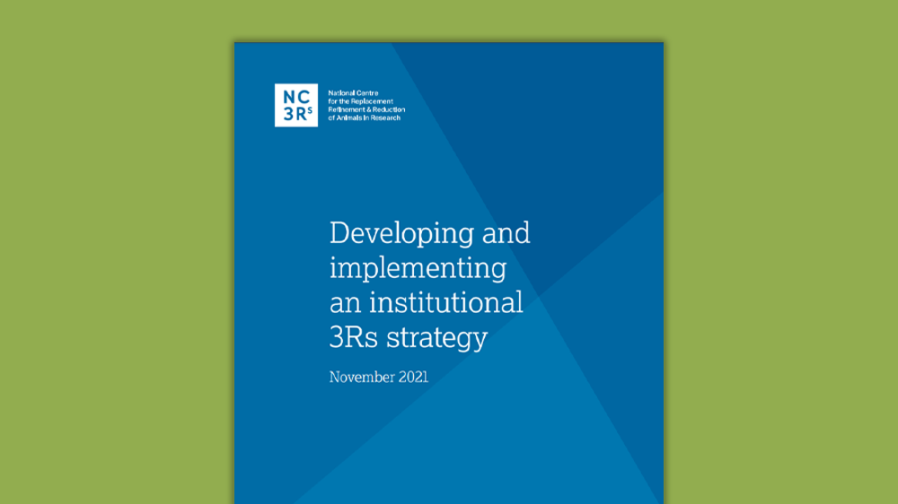 The front cover of the "Developing and implementing an institutional 3Rs strategy" document on a green background.