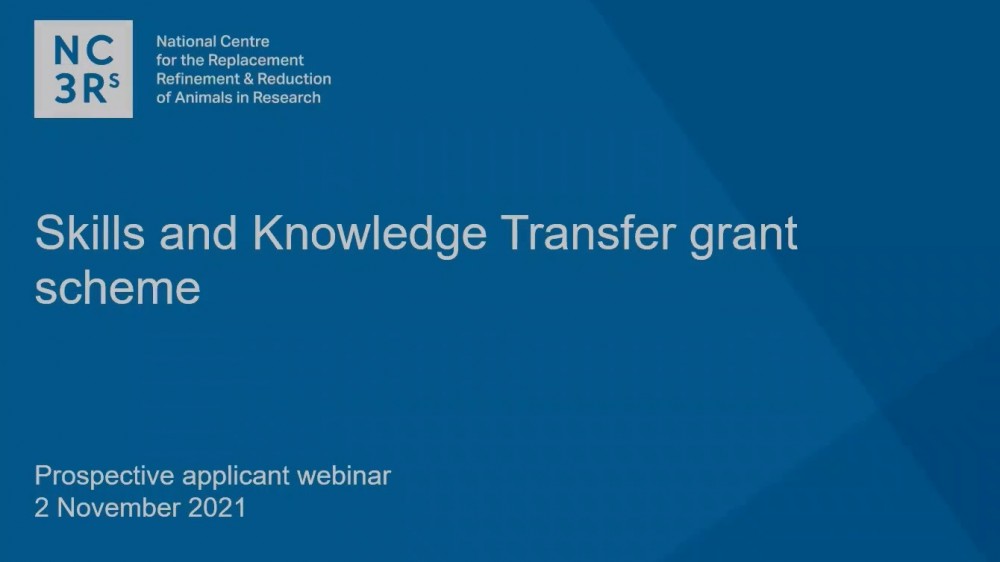 Opening slide for the webinar "Skills and Knowledge Transfer grant scheme"