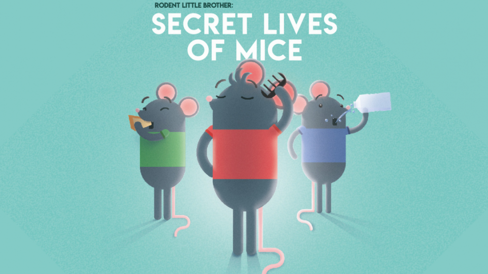 A cartoon of three mice. The mouse on the left is wearing a green top and eating, the mouse in the centre is wearing a red top and grooming itself, and the mouse on the right is wearing a blue top and drinking water.