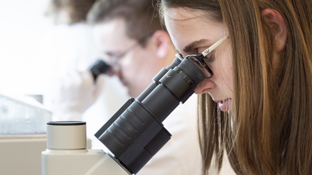 Two scientists look into microscopes