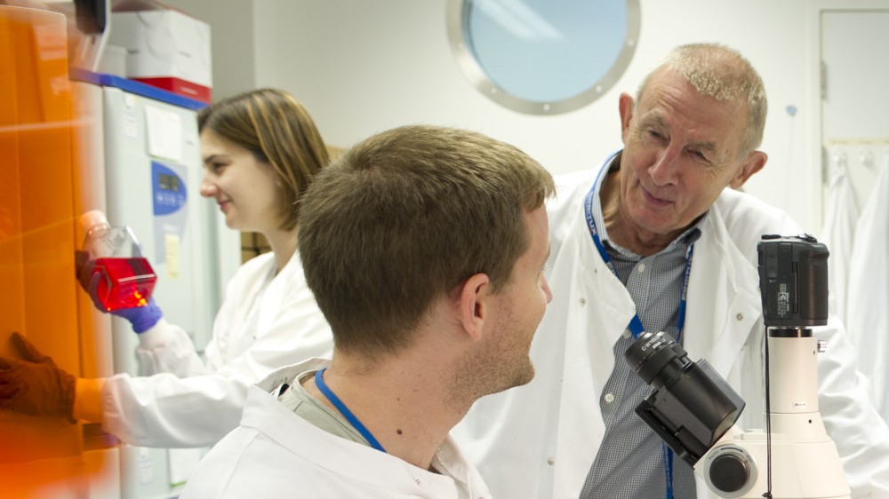 Researchers having a conversation in the lab