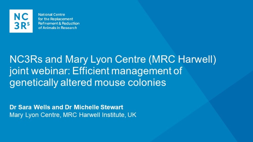 Webinar presentation title slide: NC3Rs and Mary Lyon Centre (MRC Harwell) joint webinar: Efficient management of genetically altered mouse colonies