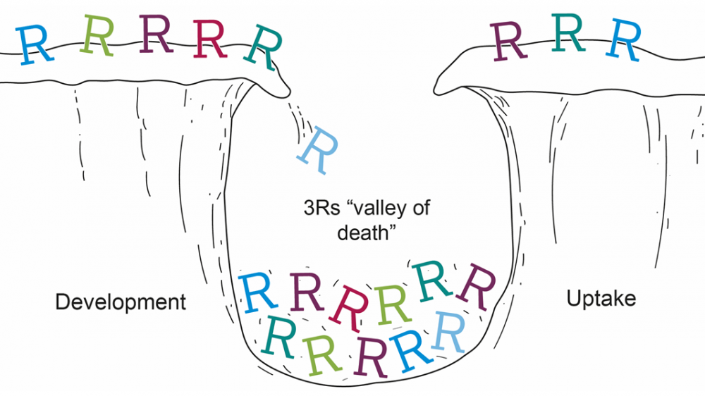 Letter "R"s on cliffs on either side of a valley, with a number falling into the valley below. One side is labelled "development", the other "impact", with the valley labelled "3Rs valley of death"