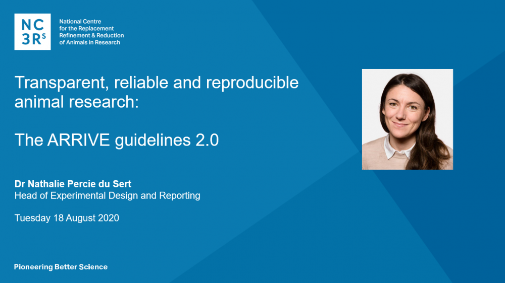 The front slide of a webinar presentation by the NC3Rs' Nathalie Percie du Sert