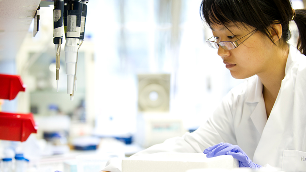 A scientist in a lab working with a microscope