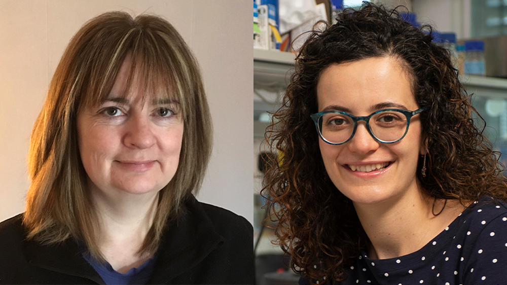 Two headshots side by side. On the left is Dr Francesca Nunn, on the right is Dr Marta Shahbazi