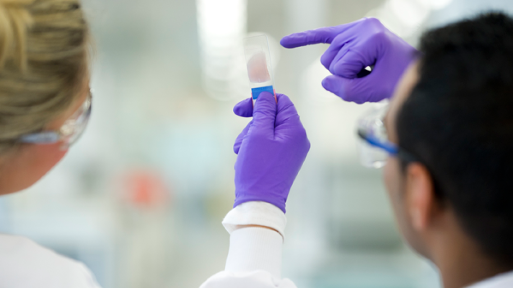 Two scientists inspect a microscope slide being held up to the light