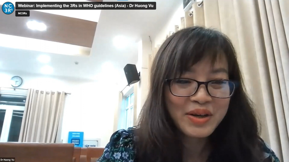Screen shot of Dr Huong Vu's WHO Asia presentation