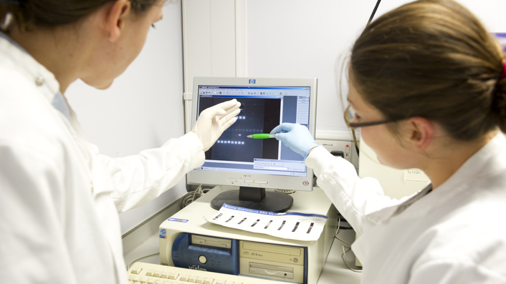 Two scientists looking at results on a computer