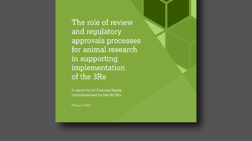 Cover of report