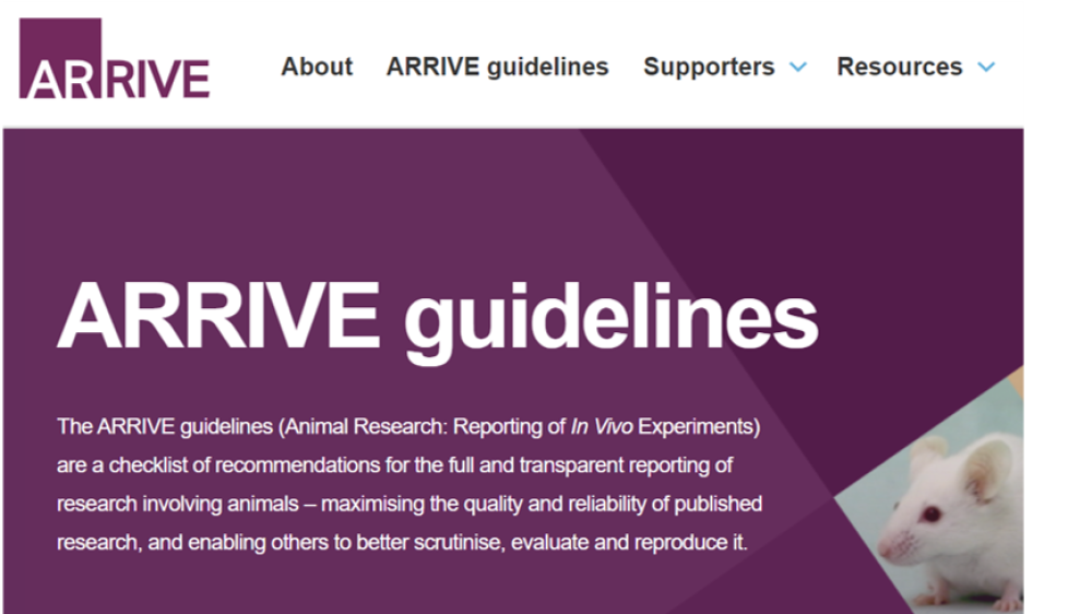 Screengrab 16x9 of ARRIVE website-crop