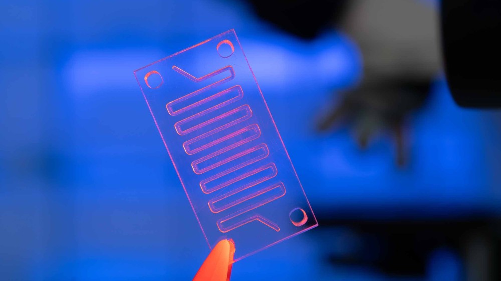 Organ-on-chip device